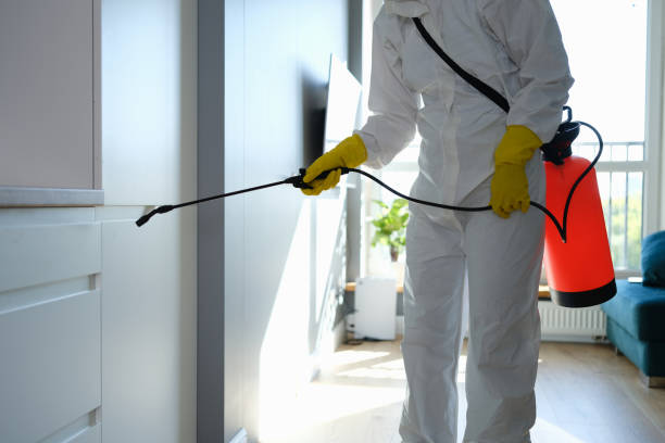 Best Office Mold Removal Services  in Brazil, IN